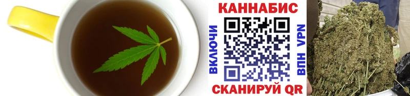 кракен маркетплейс Асино Cannafood марихуана