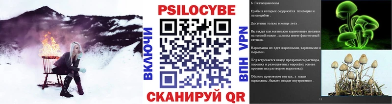Псилоцибиновые грибы Psilocybine cubensis  Асино 
