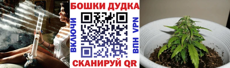 МЕГА как зайти  магазин продажи наркотиков  Асино  Марихуана LSD WEED 